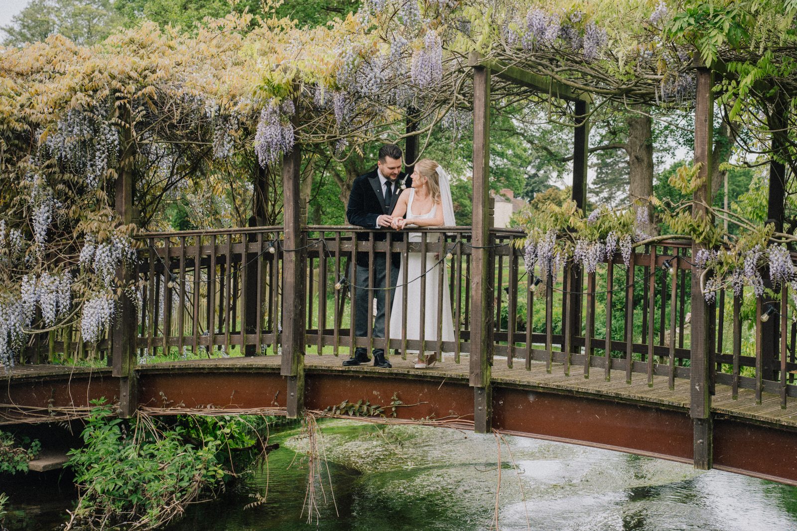 The wisteria bridge over Black Brook at The Old School House, Weeford near Lichfield, wisteria in full bloom across the span — Lichfield wedding photographer